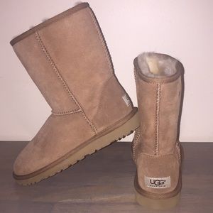 Classic Short Ugg Boots- chestnut